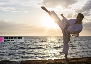 warriors series jesse enkamp karate nerd