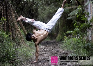 warriors series chan griffin capoeira
