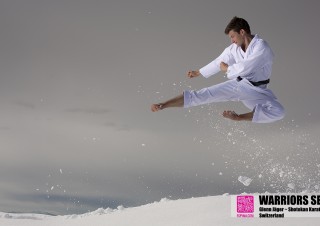 warriors series shotokan karate