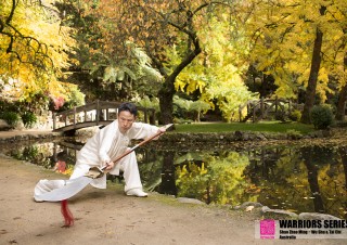 warriors series wu shu tai chi