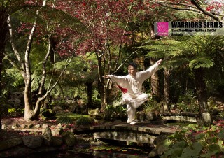 warriors series wushu tai chi