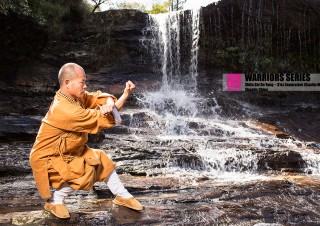 warriors series shi de yang shaolin kung fu