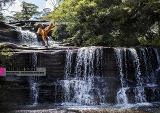 warriors series shi de yang shaolin kung fu