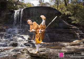 warriors series shi de yang shaolin kung fu